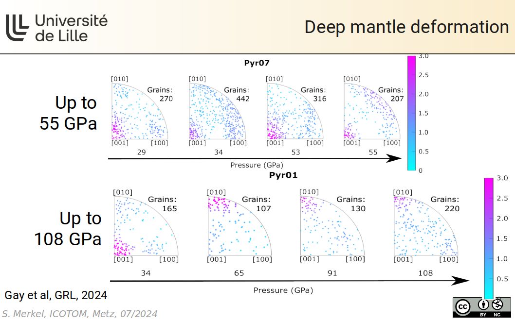 Deep mantle deformation